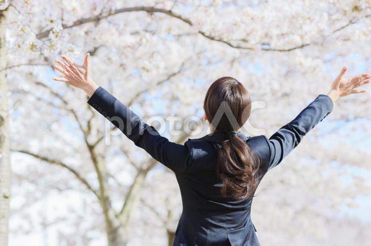 桜に向かって両手を広げるスーツの女性 人物,女性,ビジネスの写真素材
