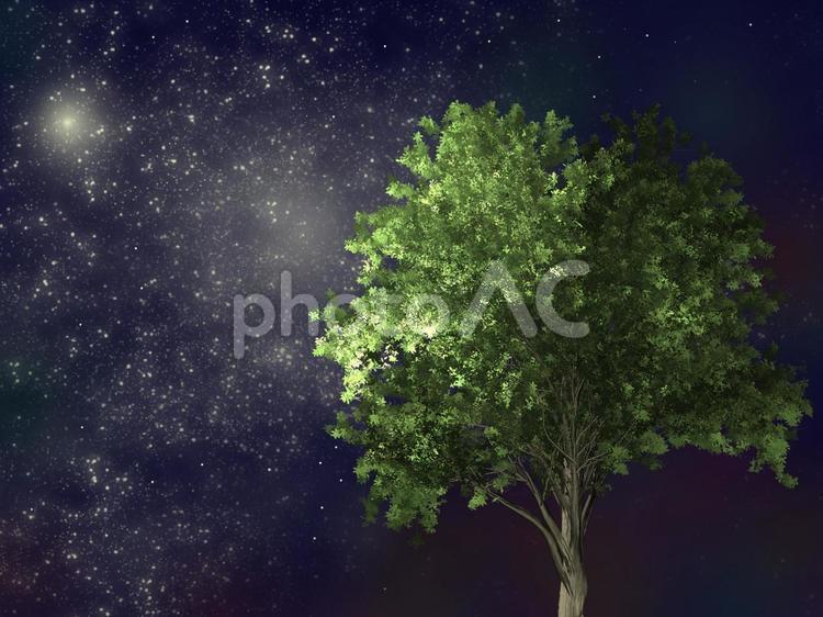 夜に輝く大木のイメージ　PSD 夜中,木,大木の写真素材