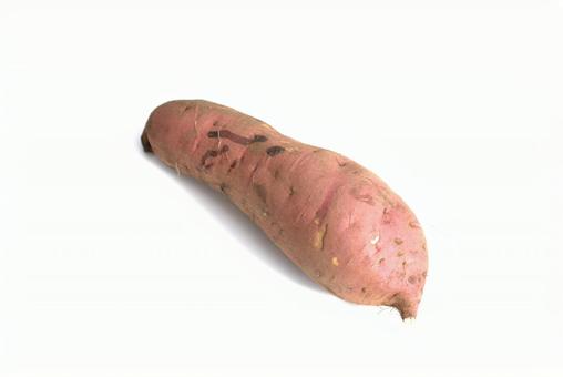 さつまいも　白背景 さつまいも,サツマイモ,野菜の写真素材