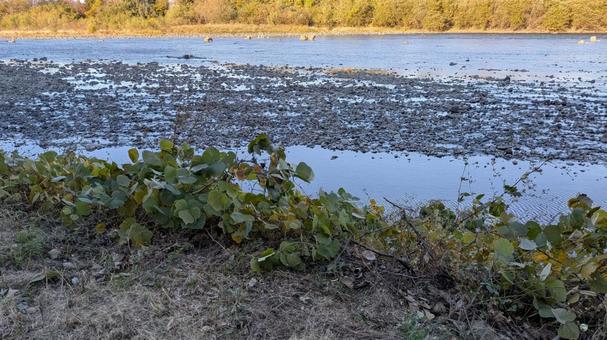 夕暮れの河川敷 川の流れ,川のせせらぎ,夕暮れの河川敷の写真素材