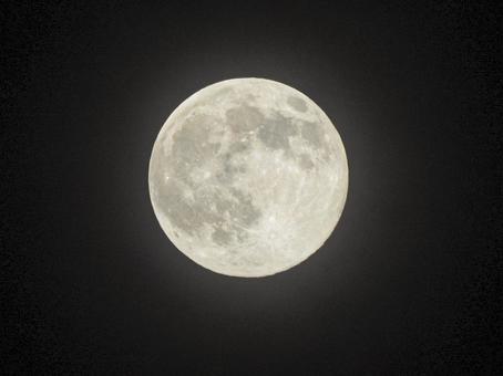 スーパームーン 月,夜,スーパームーンの写真素材