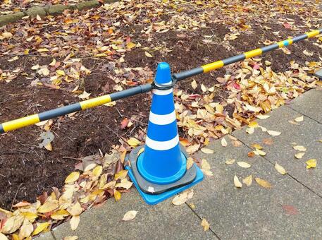 Photo, blue, road, sidewalk, 