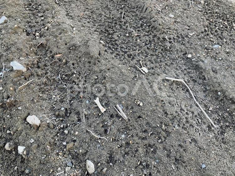 整地された地面 整地,地面,土地の写真素材
