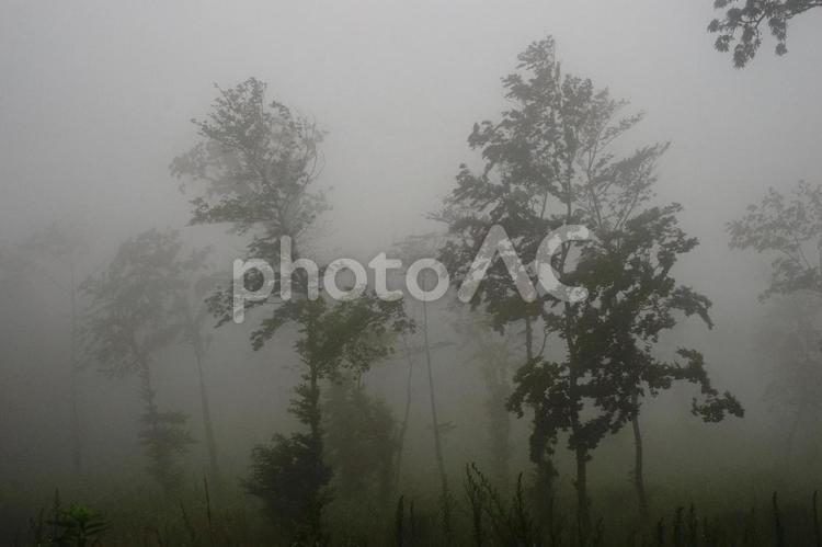 雨模様 山,雲,霧の写真素材