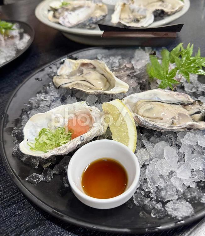 生牡蠣ともみじおろし添え 牡蠣,生牡蠣,牡蠣料理の写真素材