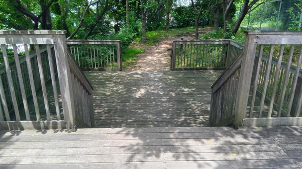 木陰  木陰  木陰,樹木,地方の写真素材