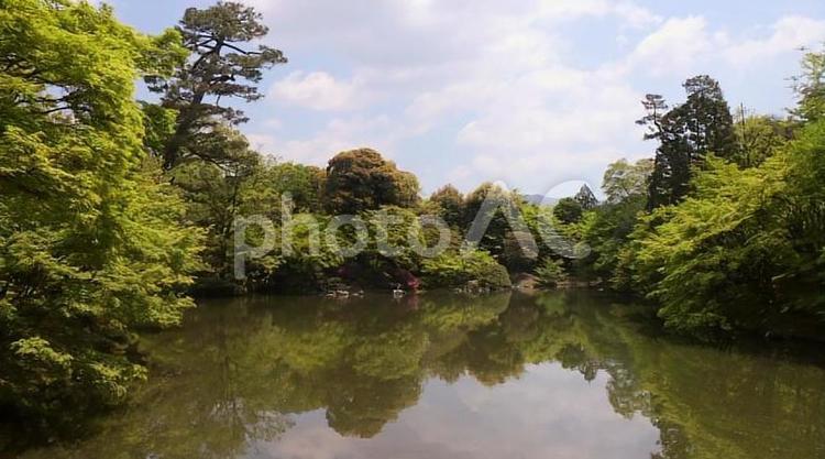 仙洞御所の新緑（京都） 京都,御所,新緑の写真素材