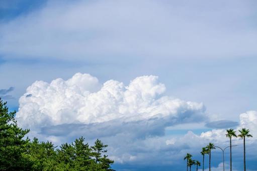 入道雲とヤシの木が並ぶ夏空の風景 入道雲とヤシの木が並ぶ夏空の風景 空,雲,入道雲の写真素材