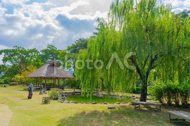 道後公園　湯築城跡の風景 道後公園,湯築城,松山市の写真素材