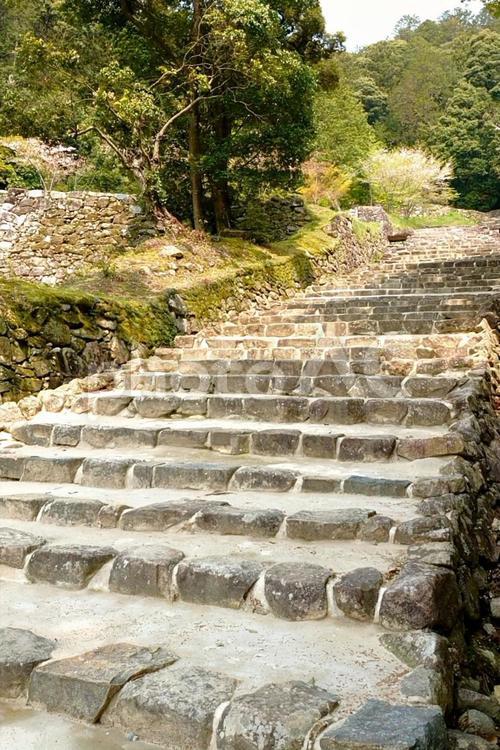 織田信長ゆかりの特別史跡　安土城跡1　 特別史跡,安土城跡,安土城の写真素材