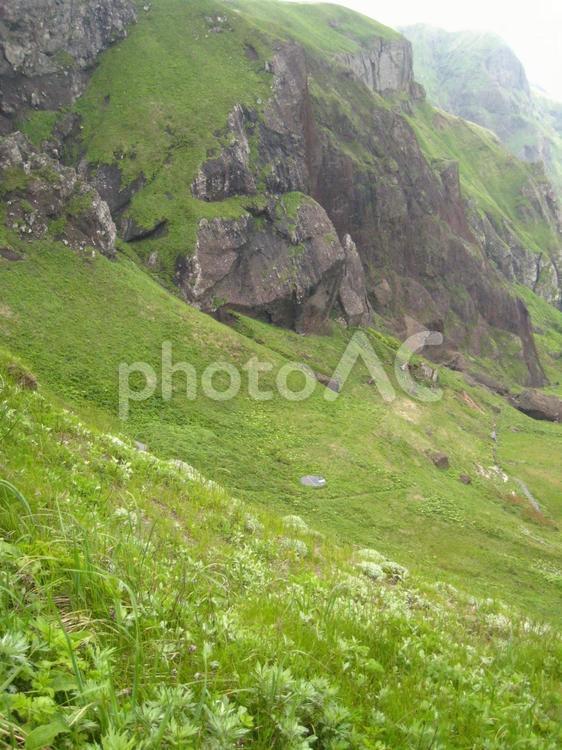 礼文島の風景 野山,自然,風景の写真素材
