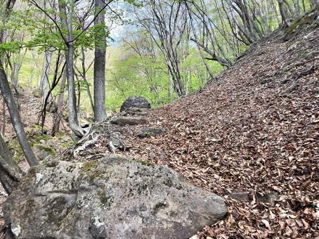 皇海山へ登山5 登山道 皇海山へ登山5 登山道の写真