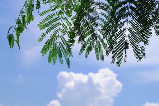 木陰でひと休み 木陰でひと休みの写真