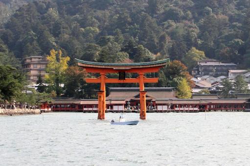 厳島神社の大鳥居 厳島神社の大鳥居 宮島,厳島神社,大鳥居の写真素材