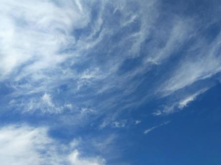 空高くに現れる薄く繊細な雲 空,青空,細いの写真素材