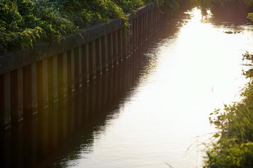 光が差し込む小川の風景 光が差し込む小川の風景 小川,川,水路の写真素材