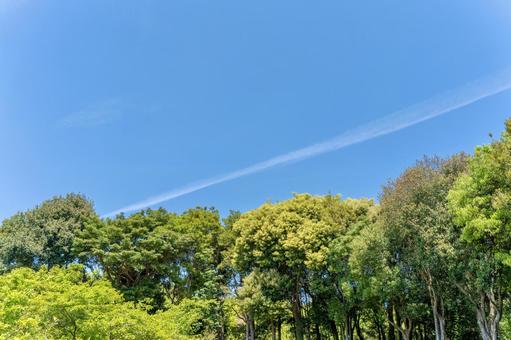 自然と青空のイメージ 自然と青空のイメージ 青空,空,雲の写真素材