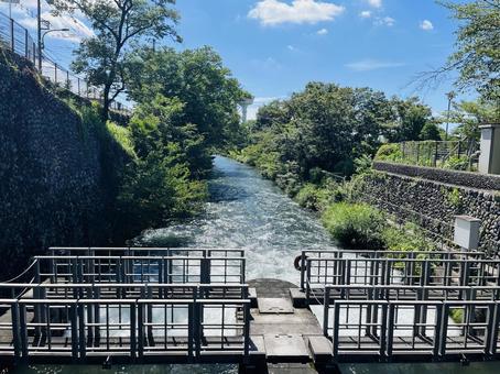 Photo, tamagawa, hamura tomizusu, a river, 