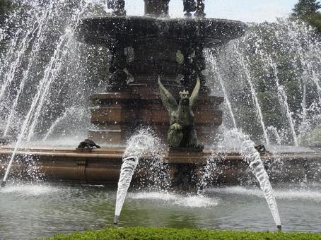 水泉 水しぶき 水泉 水しぶきの写真