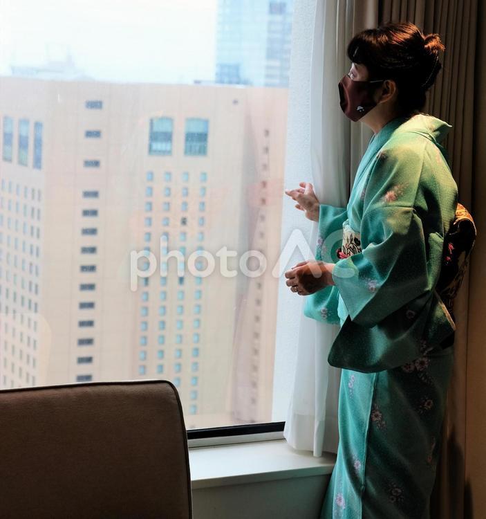 ホテルの部屋から外を眺める和服女性 和服,女性,窓の写真素材