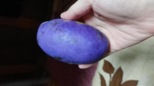 あけび あけびの写真