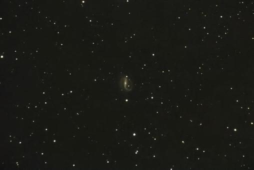銀河(NGC7479)・天体 銀河(NGC7479)・天体の写真