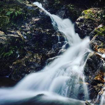 青山高原の滝 青山高原の滝の写真