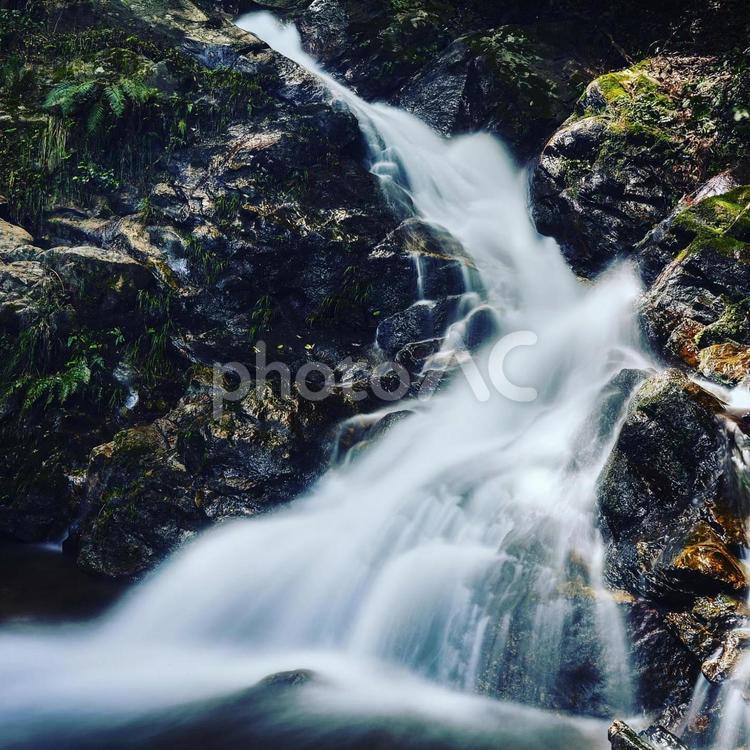 青山高原の滝 山,風景,自然の写真素材