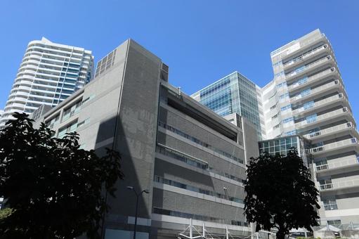 みなとみらい　街並み みなとみらい,横浜,ビルの写真素材