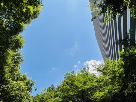 都会の青空 都会の青空の写真