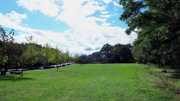 秋のミューズパーク・広場&銀杏(秩父市) 秋のミューズパーク・広場&銀杏(秩父市) 秋,秩父ミューズパーク,紅葉の写真素材