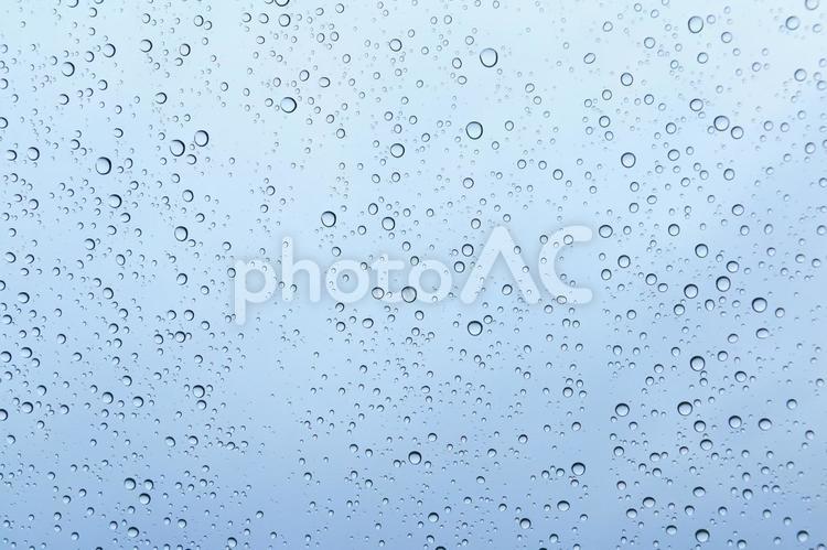 梅雨のイメージ 雨,水滴,梅雨の写真素材