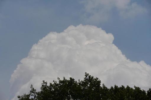 朝から積乱雲が高く積みあがっている 朝から積乱雲が高く積みあがっているの写真