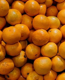 みかん みかん,柑橘類,果物の写真素材