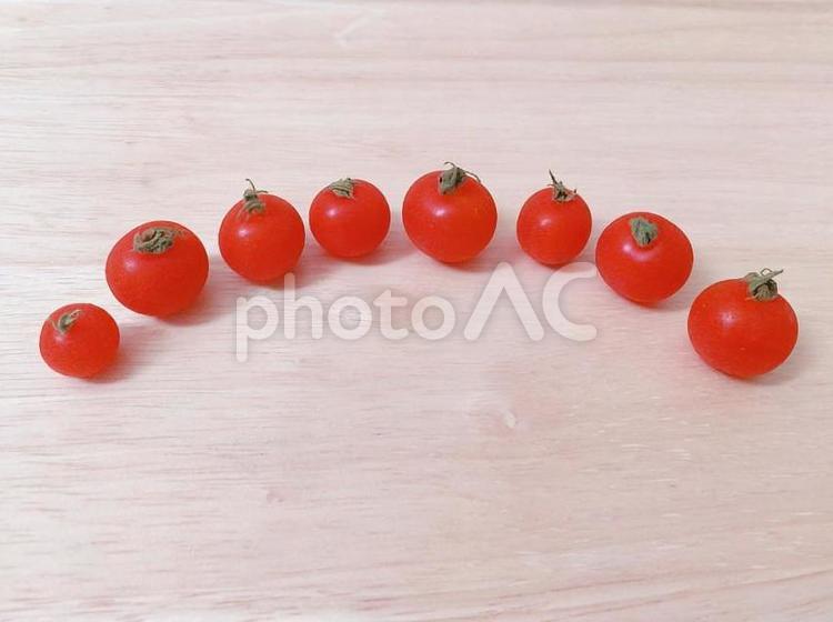 横浜産・無農薬栽培のマイクロトマト トマト,野菜,食材の写真素材