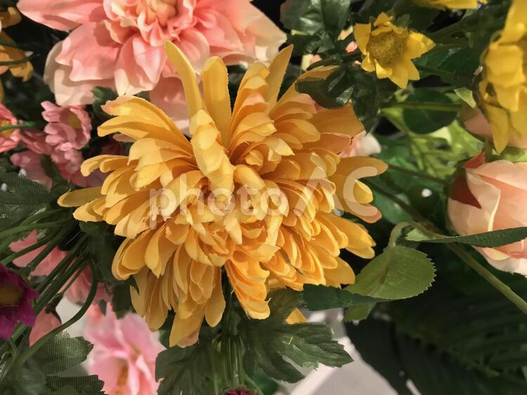 菊の花の造花、仏花 菊,仏,神様の写真素材