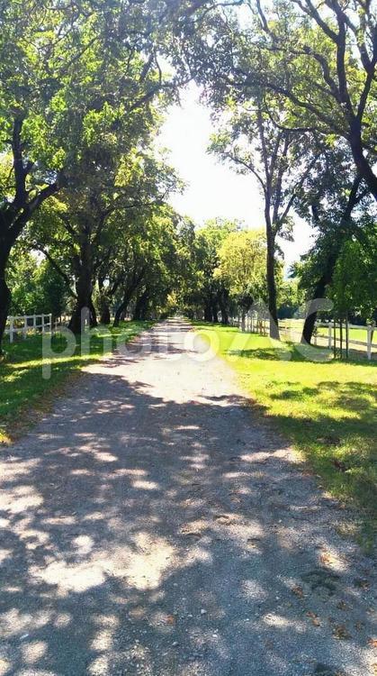まっすぐな道 スロベニア,中欧,東欧の写真素材