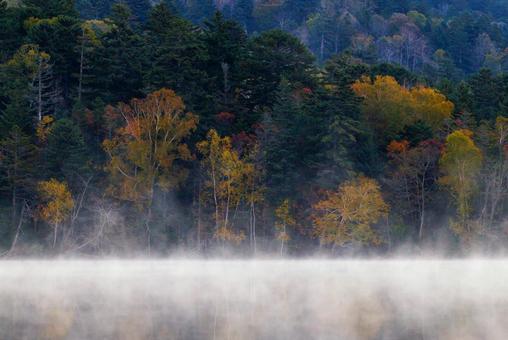 オンネトーの紅葉 オンネトーの紅葉 オンネトーの紅葉,オンネトー,紅葉の写真素材