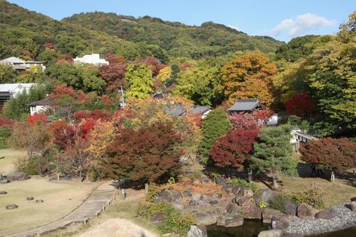 紅葉の庭園＠池田城 庭,庭園,城の写真素材