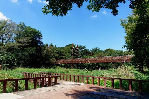 公園 公園 公園,ウッドデッキ,橋の写真素材