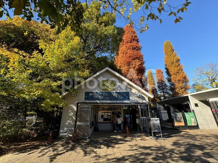 井の頭自然文化園 井の頭自然文化園,動物園,東京の写真素材