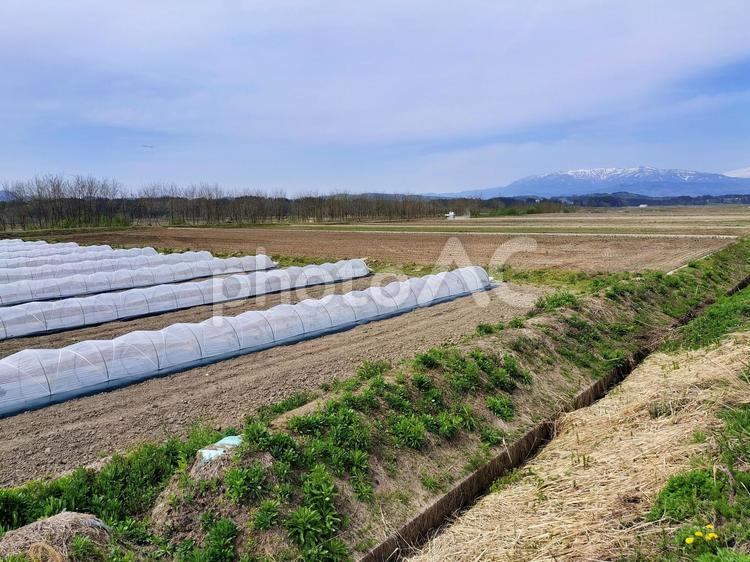 米どころ山形県の農地と田園風景 田園風景,畑,農地の写真素材