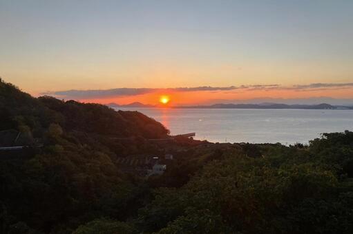 ミカん畑 広島県,大崎島,みかん畑の写真素材