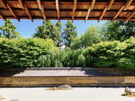 龍安寺の枯山水と青葉の季節 龍安寺の枯山水と青葉の季節 枯山水,龍安寺,京都の写真素材