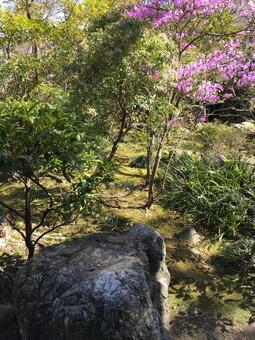 岩のある風景 岩のある風景の写真