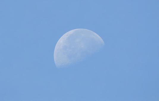 夏空の月1 夏空の月1の写真