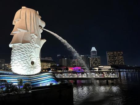 夜のマーライオン 夜のマーライオンの写真