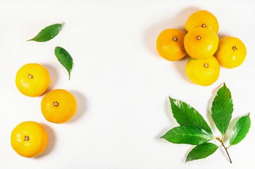 デザインされたみかん みかん,蜜柑,メッセージスペースの写真素材