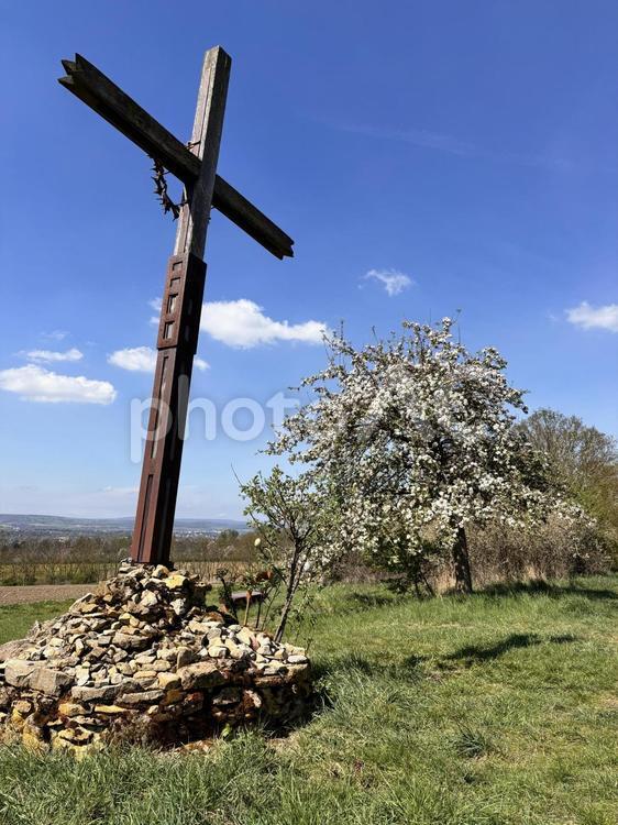 Cross of Hope's Hill 十字架,春,りんごの木の写真素材