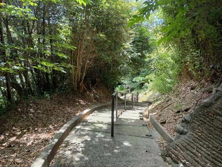 Forest Walking Trail, JPG